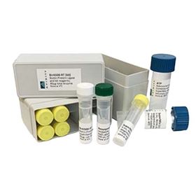 BirA500-RTAvidity BirA Biotin-Protein Ligase RT– Lyophilized