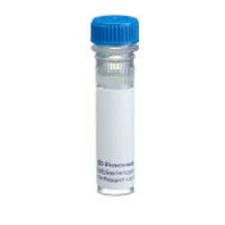 551226BD Pharmingen™纯化小鼠抗人MCP-1