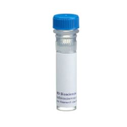 550270BD Pharmingen™纯化小鼠抗大鼠CD32