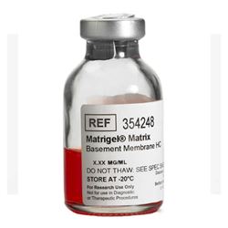 354248Corning Matrigel 基底膜基质 高浓度 (HC)