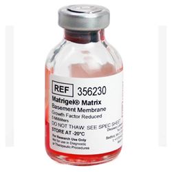 356230CorningMatrigel生长因子减量GFR基底膜基质