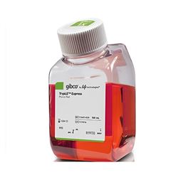 12605-028Gibco TrypLE Express 酶 (1X)，含酚红