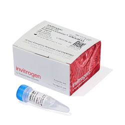 13778-030Gibco Lipofectamine RNAiMAX 转染试剂