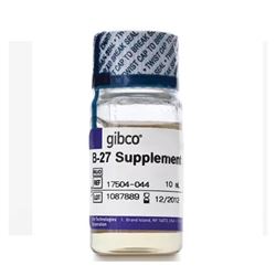 17504-044Gibco B-27无血清添加剂（50X）-常备现货