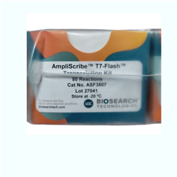 ASF3507Lucigen AmpliScribe T7快速体外转录试剂盒