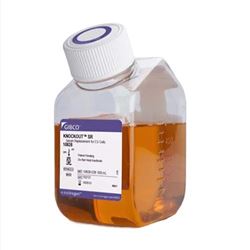10828028Thermo KnockOut™ KOSR血清替代物