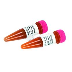 28-9011-06cytiva ECLPlexIgG-Cy3荧光标记二抗