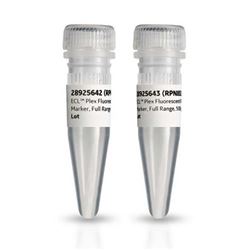 RPN850Ecytiva ECL Plex FL荧光彩虹蛋白分子量标准