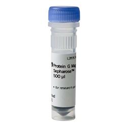 28944006cytiva Protein A Mag Sepharose™ 磁珠