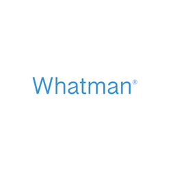 10313953Whatman 定性滤纸-预折叠级2555 FF 320MM