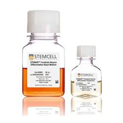 08600STEMCELL 前脑神经元诱导分化试剂盒