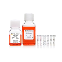 05120STEMCELL 胰腺祖细胞培养试剂盒-常备现货