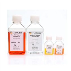 05715STEMCELL 成熟CNS组织酶解试剂盒