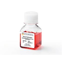 04034STEMCELL 甲基纤维素培养基H4034 Optimum