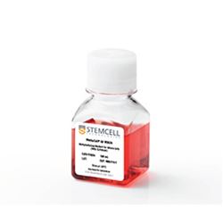 03534STEMCELL 不含EPO的小鼠甲基纤维素培养基