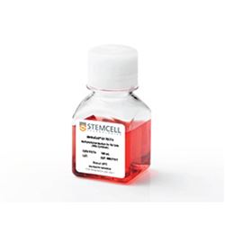 03774STEMCELL 大鼠细胞甲基纤维素半固体培养基