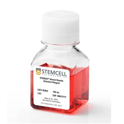 05832STEMCELL STEMdiff™神经Rosette挑选试剂
