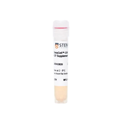 03820STEMCELL CHO无血清培养基添加物-常备现货