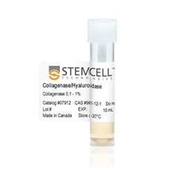 07912STEMCELL 胶原酶/透明质酸-常备现货