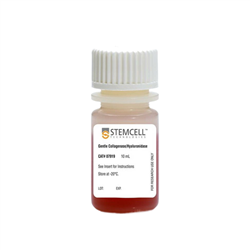 07919STEMCELL 温和胶原酶/透明质酸酶-常备现货