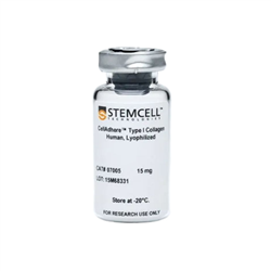 07005STEMCELL CellAdhere I型人胶原蛋白冻干粉