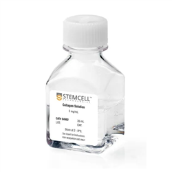 04902STEMCELL Collagen Solution/胶原溶液