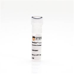 02697STEMCELL 人HSPCs扩增添加物CC110
