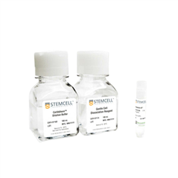 07190STEMCELL 细胞贴壁基质试剂盒-常备现货