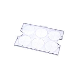 27000STEMCELL STEMgrid™-6 集落计数板