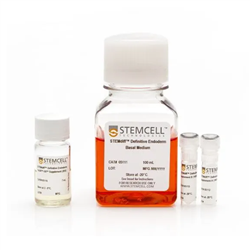 05115STEMCELL 定型内胚层定向分化试剂盒
