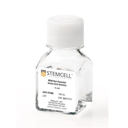 07600STEMCELL 非必需氨基酸的MEM 100X 浓缩