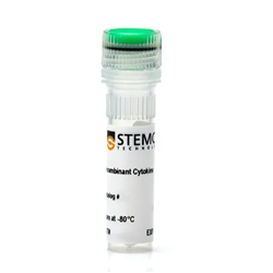 02625STEMCELL 人促红细胞生成素-常备现货