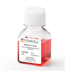 04236STEMCELL 甲基纤维素不wan全培养基