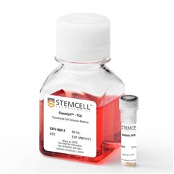 03822STEMCELL ClonaCell™-TCS/G418 Kit