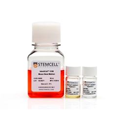 06005STEMCELL 肠类器官生长培养基（小鼠）