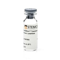 07003STEMCELL CellAdhere™ 人弹性蛋白原，冻干