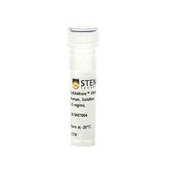07004STEMCELL 人玻连蛋白（Vitronectin）溶液