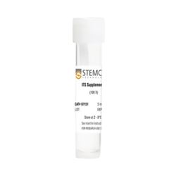 07155STEMCELL ITS Supplement-B-常备现货