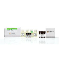 01711STEMCELL 干细胞检测试剂盒-常备现货