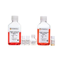 05010STEMCELL STEMdiff™心肌细胞分化试剂盒