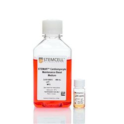 05020STEMCELL 心肌细胞维持培养试剂盒-常备现货