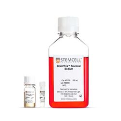 05793STEMCELL 神经元培养基和N2-A/SM1试剂盒