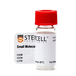 72052/72054STEMCELL CHIR99021-常备现货