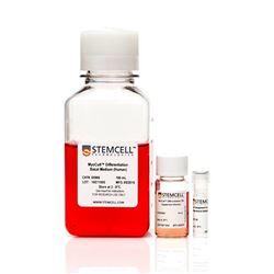 05965STEMCELL MyoCult™人成肌细胞分化培养基