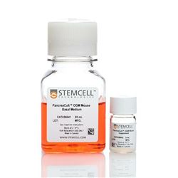 06040STEMCELL 小鼠胰腺类器官培养基-常备现货