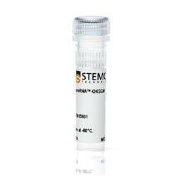 05931STEMCELL ReproRNA™-OKSGM-常备现货