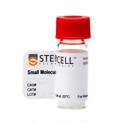 72092STEMCELL Dexamethasone-常备现货