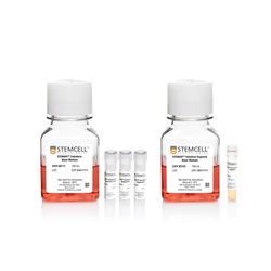 05140STEMCELL 肠类器官分化培养试剂盒-常备现货