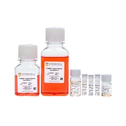 08571STEMCELL 脑类器官成熟试剂盒-常备现货