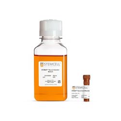 08610STEMCELL 神经嵴分化试剂盒-常备现货